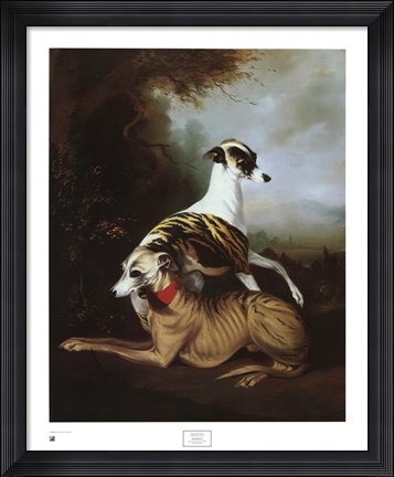 Framed Whippets Print