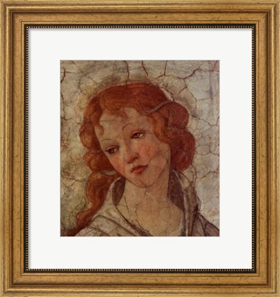Framed Detail: Venus and the Three Graces II Print