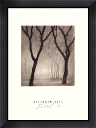 Framed Forest IV Print