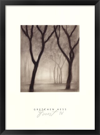 Framed Forest IV Print