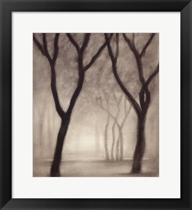 Framed Forest IV Print