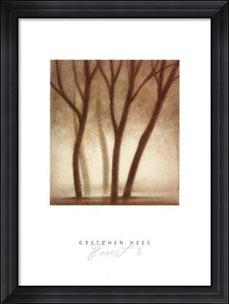Framed Forest II Print
