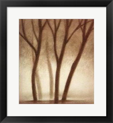 Framed Forest II Print