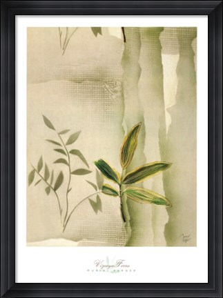 Framed Vizcaya Ferns II Print