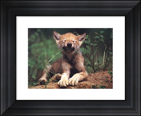 Framed Simple Pleasures Print