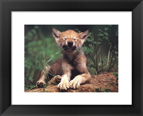 Framed Simple Pleasures Print