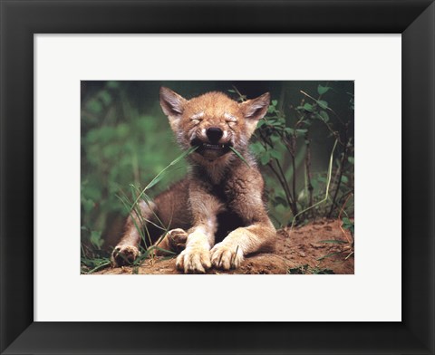 Framed Simple Pleasures Print