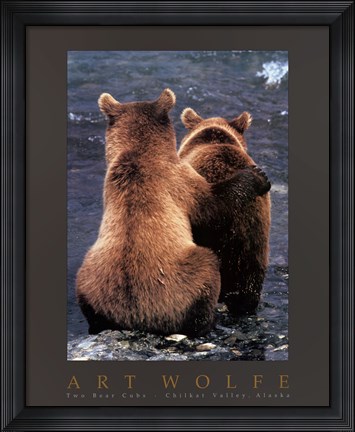 Framed Two Bear Cubs Print