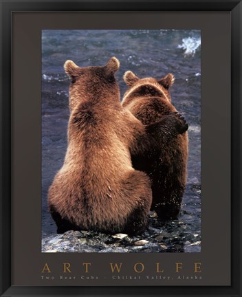 Framed Two Bear Cubs Print