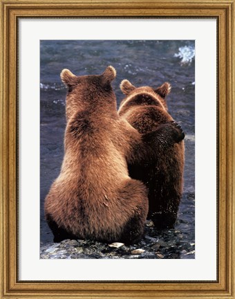 Framed Two Bear Cubs Print