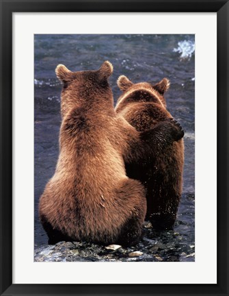 Framed Two Bear Cubs Print