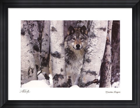 Framed Mountain Ranger Print