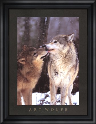 Framed Boreal Interlude, Canada Print