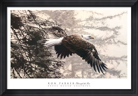 Framed Through the Firs Print