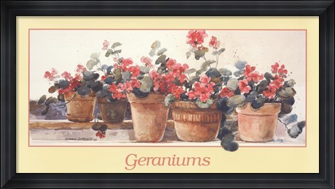 Framed Geraniums Print