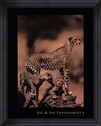 Framed African Cheetah Print