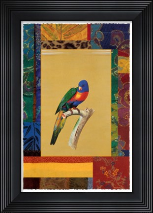 Framed Australian Parrot Print