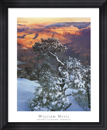 Framed Grand Canyon Sunrise Print