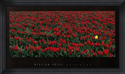 Framed Daybreak Print