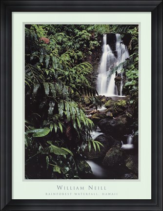 Framed Rainforest Waterfall, Hawaii Print