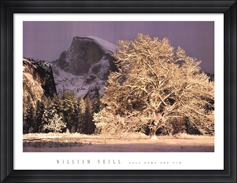 Framed Half Dome and Elm Print