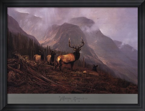 Framed Bookcliffs Elk Print