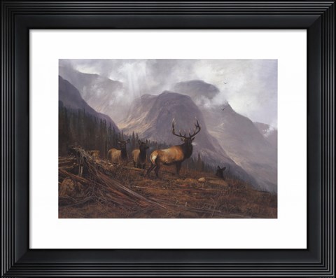 Framed Bookcliffs Elk Print