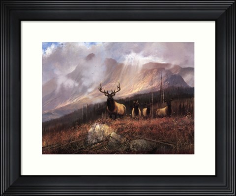 Framed Bookcliffs Elk I I Print