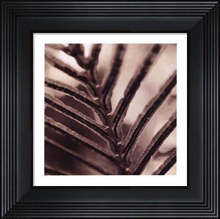 Framed Abstraction Print
