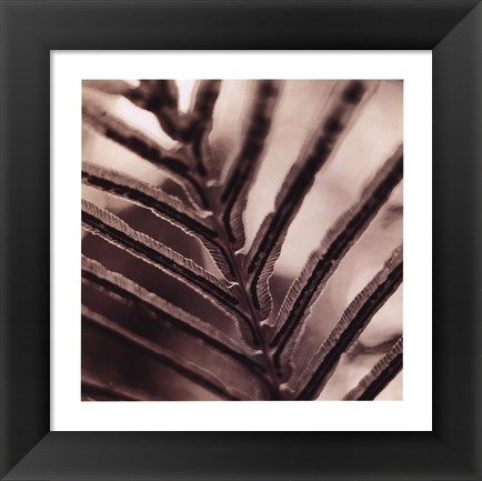 Framed Abstraction Print