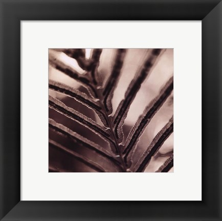 Framed Abstraction Print