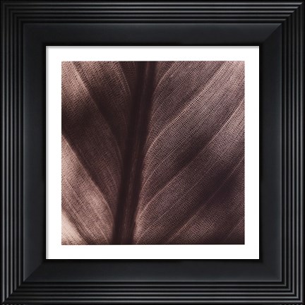 Framed Details Print
