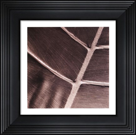 Framed Particular Print