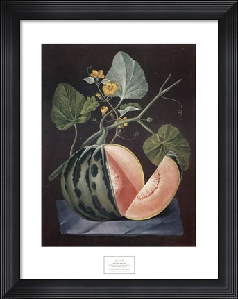 Framed Polinac Melon Print