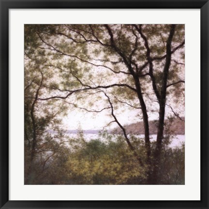 Framed Lakeside Trees I Print