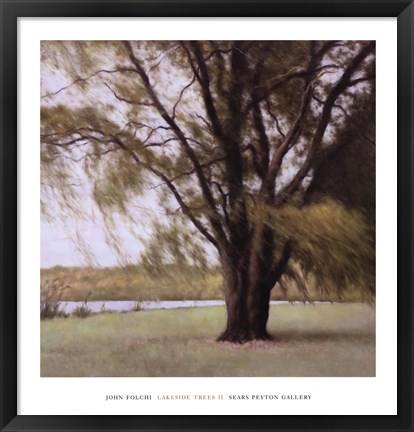 Framed Lakeside Trees II Print