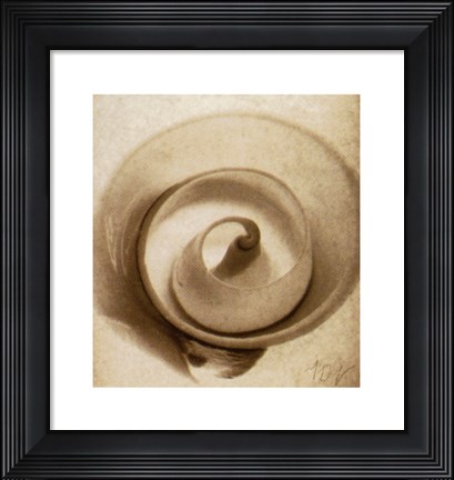 Framed Cutshell Print