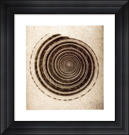 Framed Sundial Shell Print