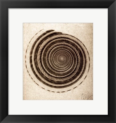 Framed Sundial Shell Print