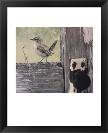 Framed House Wren Print