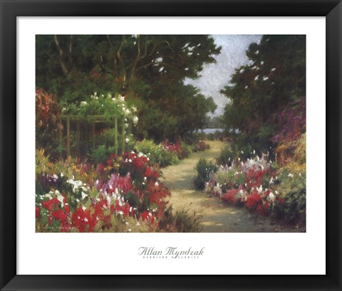 Framed Summer Stroll Print