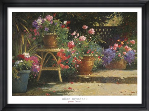 Framed Potted Flowers Print