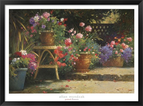 Framed Potted Flowers Print