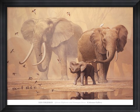 Framed African Elephants and Namaqua Doves Print