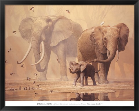 Framed African Elephants and Namaqua Doves Print