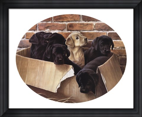 Framed Six Pack Print