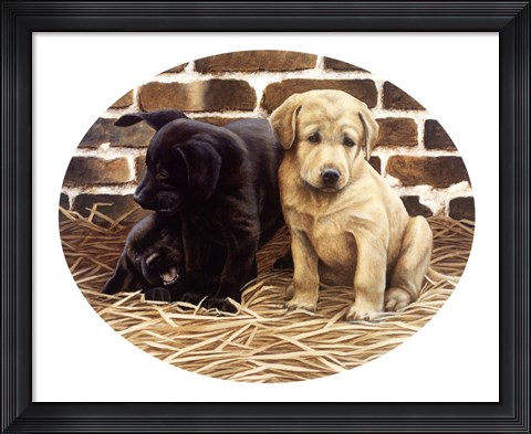 Framed Outsider Print