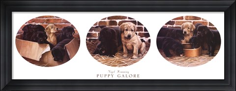 Framed Puppy Galore Print