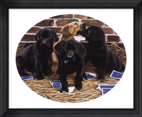 Framed Card Sharps Print