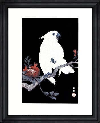 Framed Ukiyo-E Parrot Print